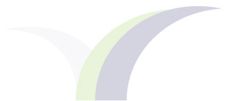 logo1